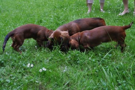 NABILA na spacerze z :